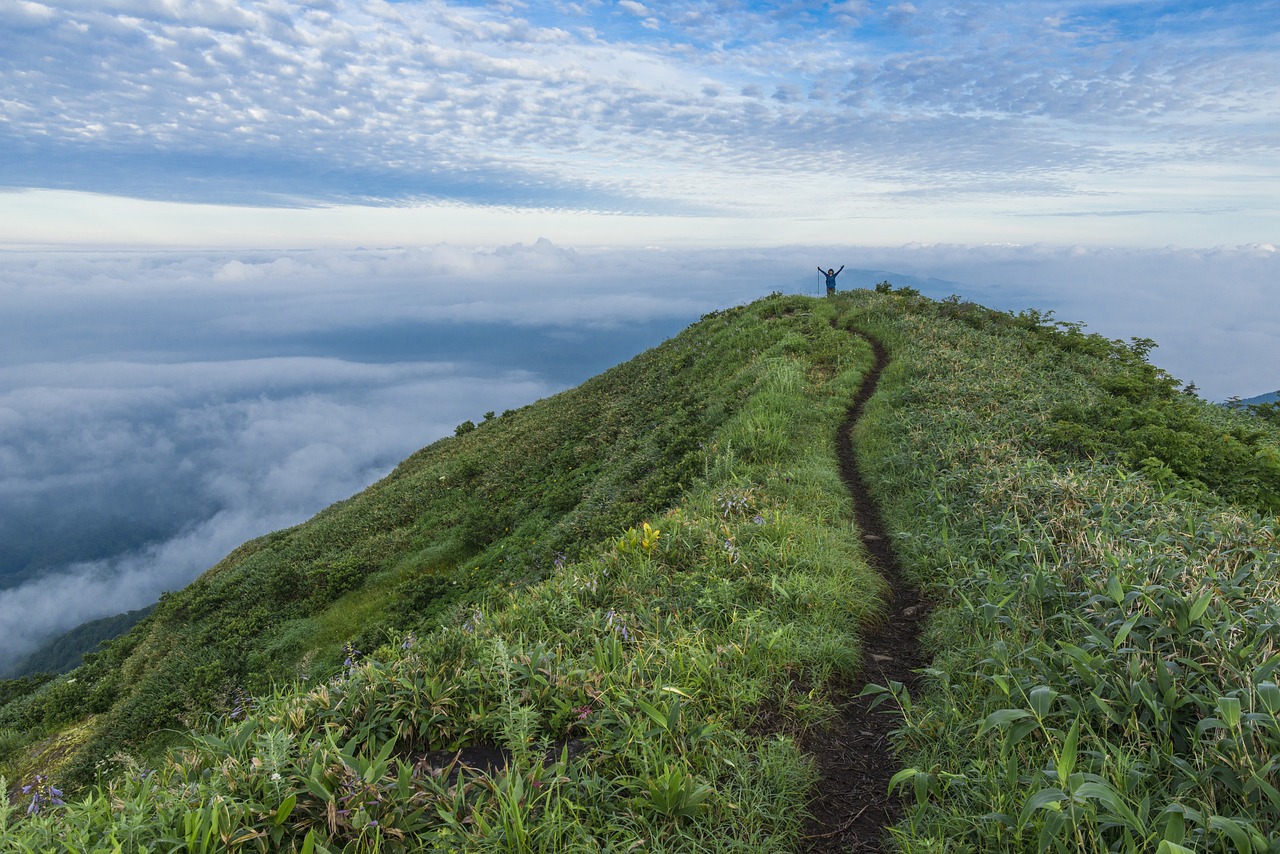 the path on the summit, winner, trail